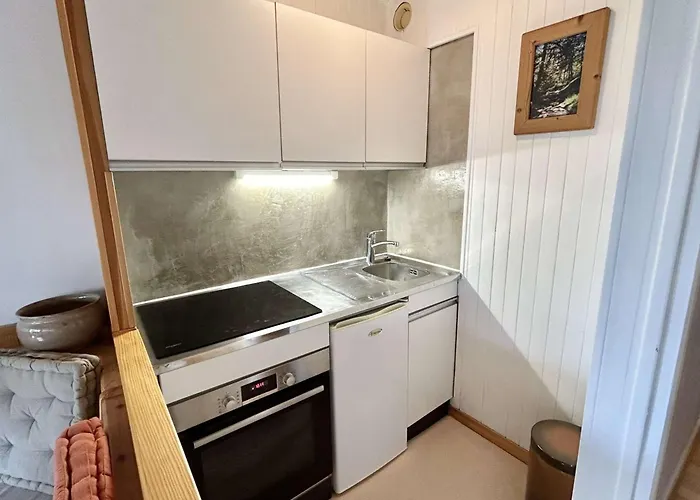 Appartement + Alcove 4 Couchages, Balcon, Parking, Skis - Proche Rochebrune, - Fr-1-597-168 Megève